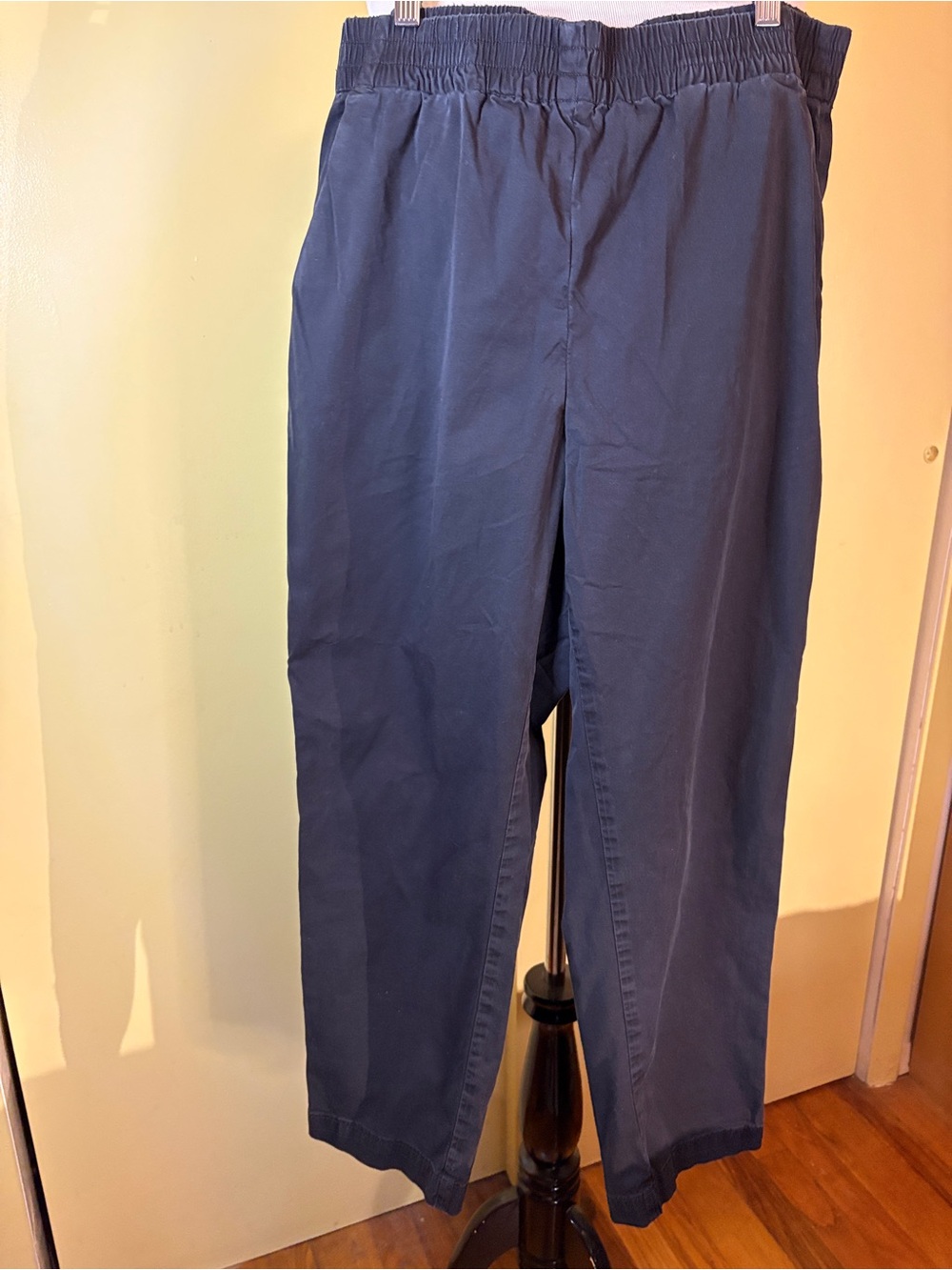 Everlane Pull On Balloon Style Pant